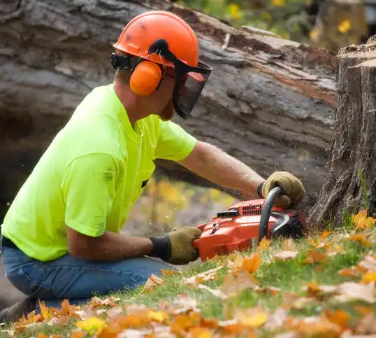 tree services Loup City